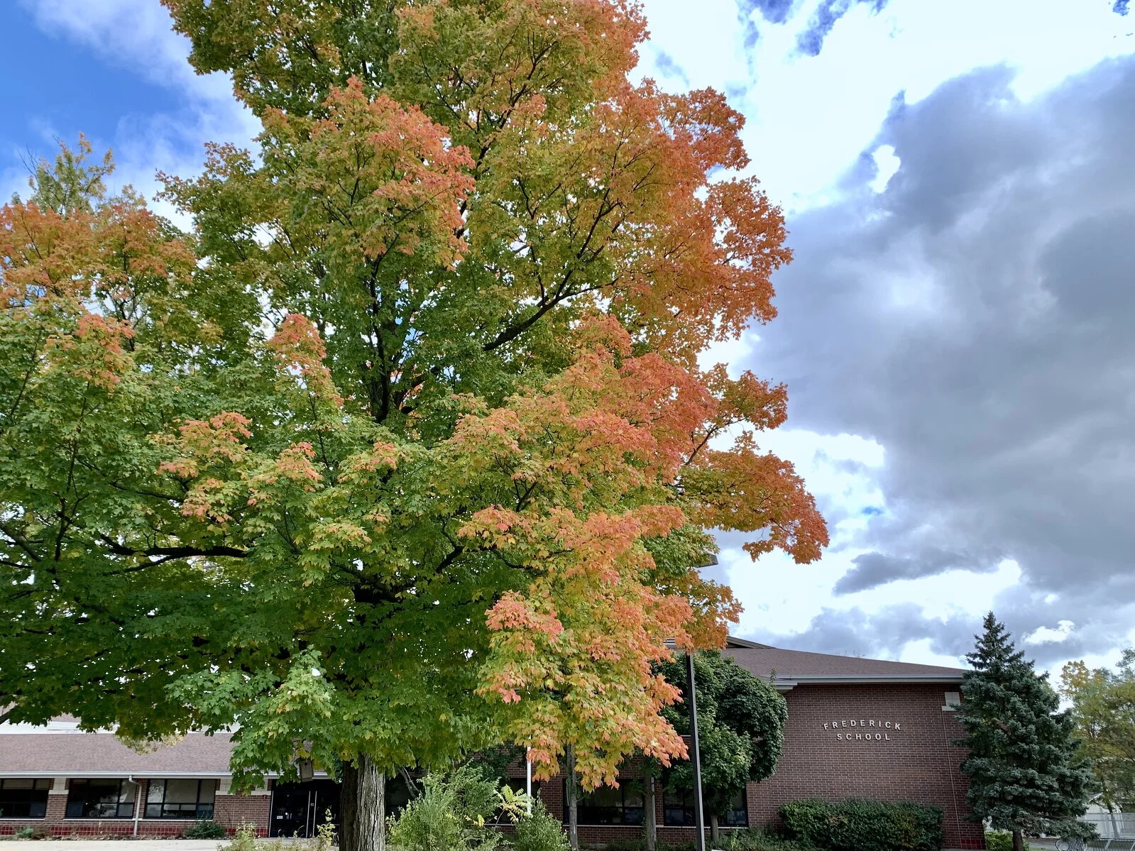  2025/10/2024-1017-Fall2.jpg 